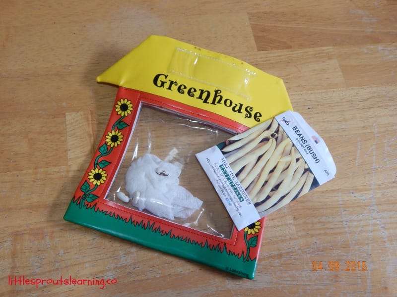 plastic window greenhouse and seed packet