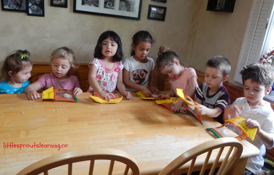 kids learning about germination by planting seeds in grow bags to hang in the window