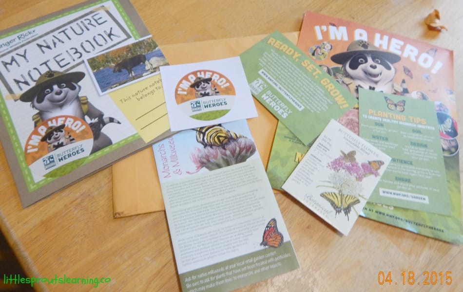 butterfly hero packet