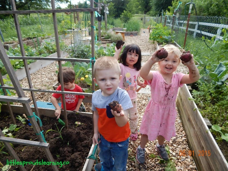 kids with potatoes they have dug out of the ground in their hands