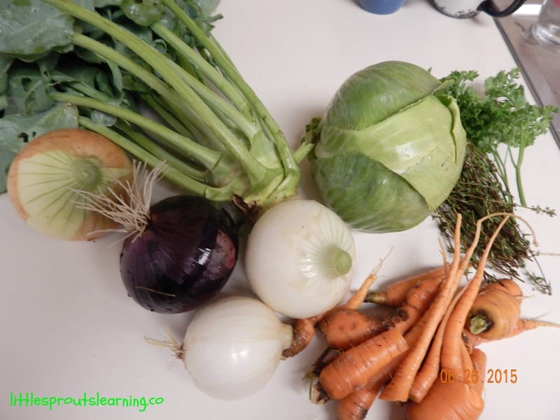 onions, kohrabi, cabbage, herbs and carrots from the winter garden on the counter.