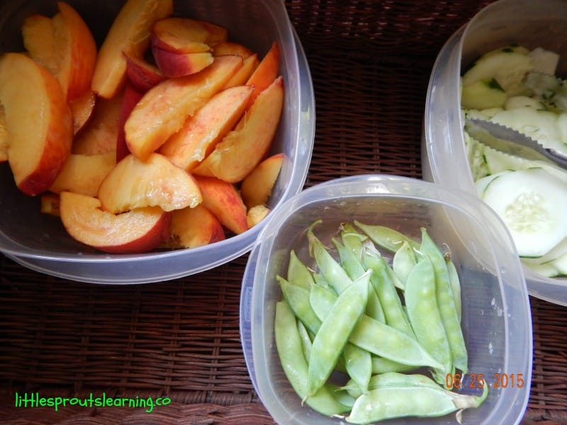 picnic food for indoor picnic