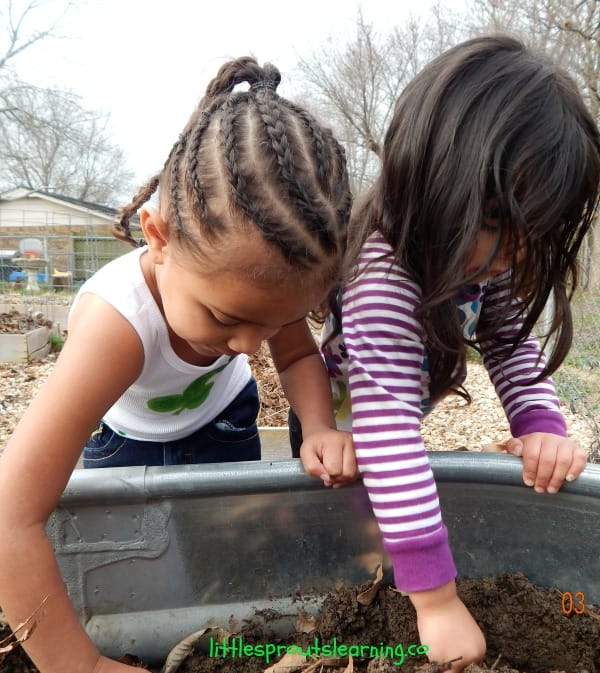 Two kids planting potatoes in a stock tank