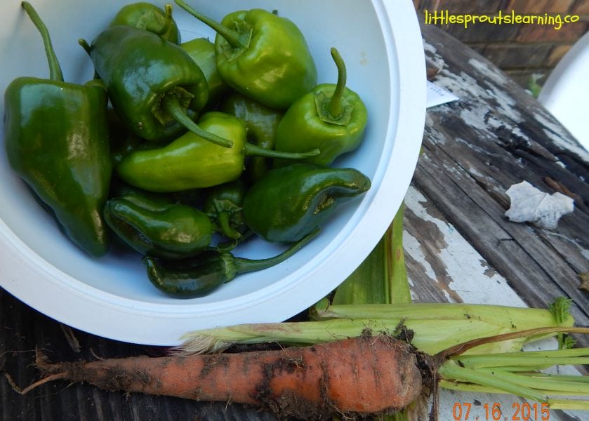 Hot peppers in a bowl on a table.