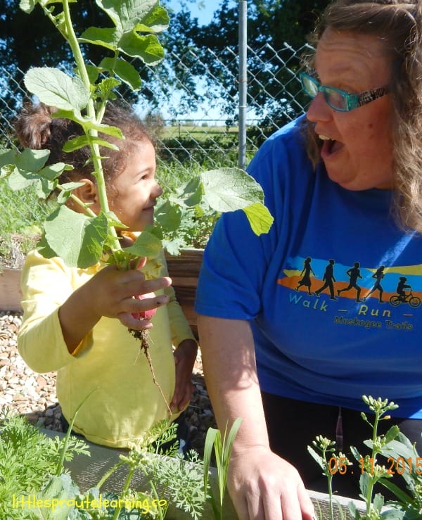 child showing a radish she picked to daycare provider