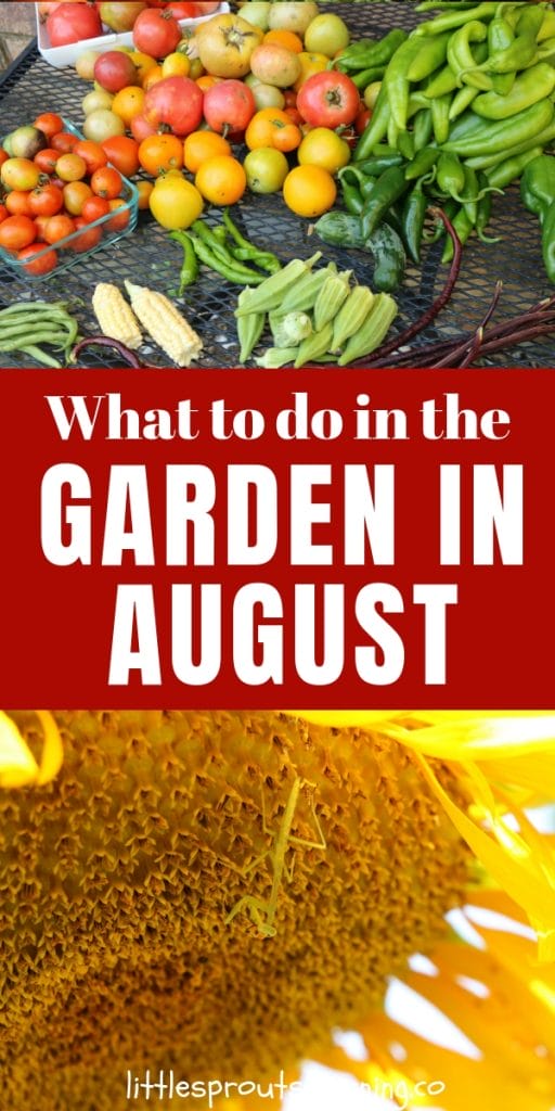 august garden produce on a table