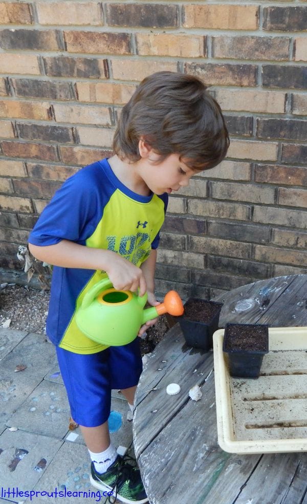 5 Steps to an Easy Vegetable Garden How much water does the garden need?