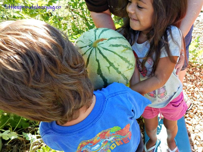 TWo children working together to carry a watermelon
