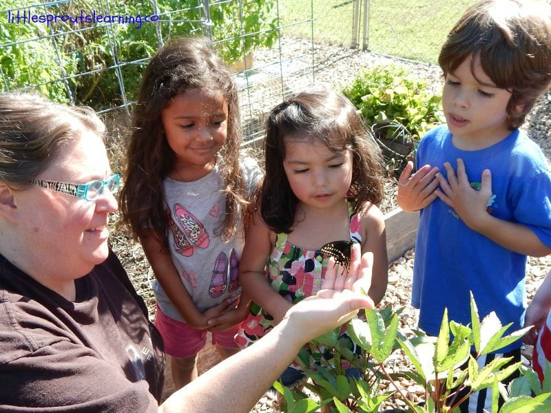 kids being patient taking turns looking at a butterfly