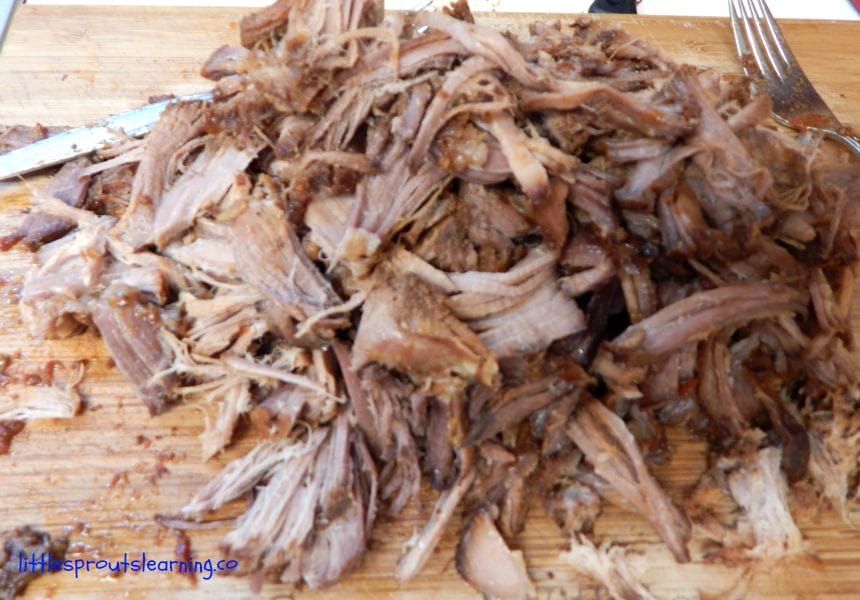 shredded pork