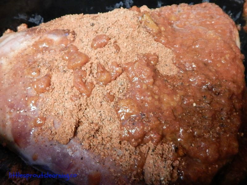 pulled pork with bbq rub