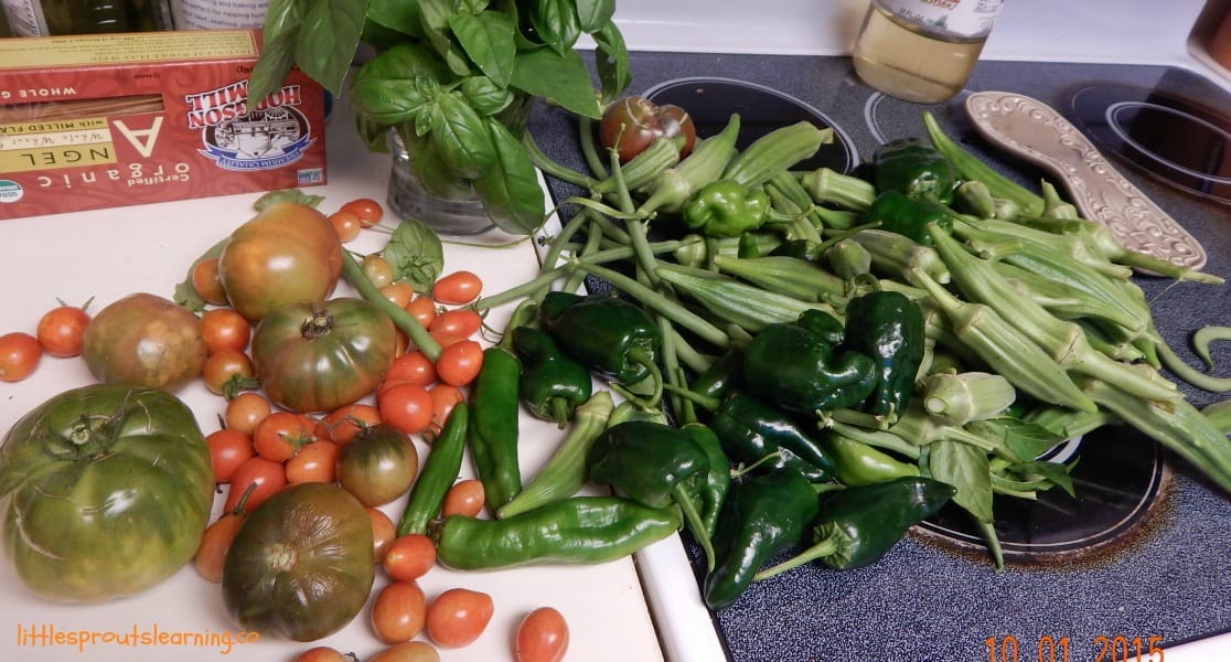 Have you ever looked around after a harvest and felt overwhelmed by produce? You CAN store fruits and vegetables from the garden and make them last!