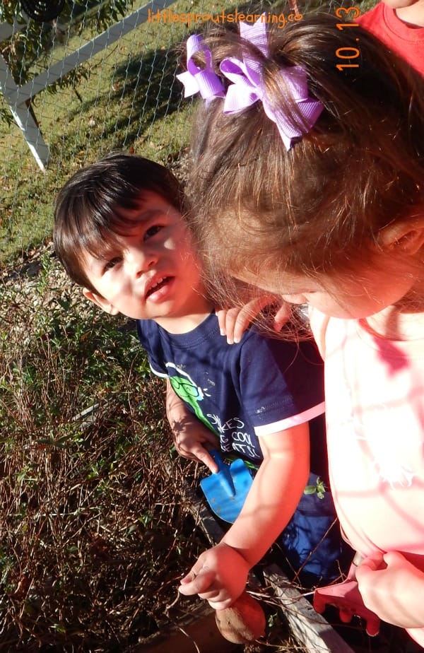 Kids harvesting sweet potatoes from the garden