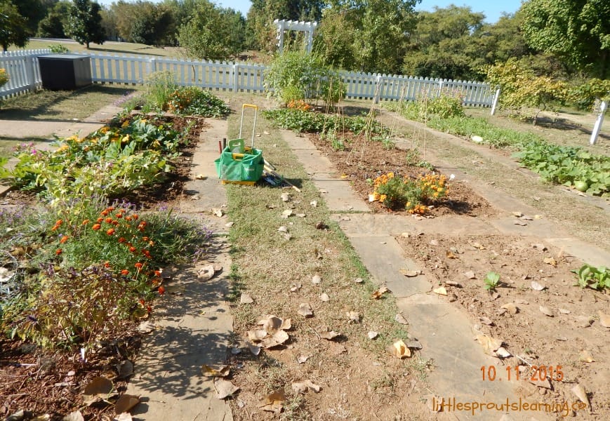Fort smith historical garden, LOVE