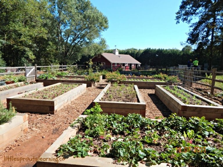 Garden tours are a great way to learn new garden ideas. Check out some epic garden tours that show awesome Growing a Greener World raised beds, planting ideas and much more.