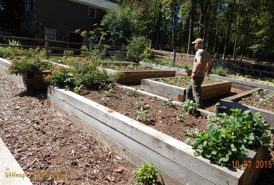 garden love
