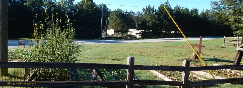 villa rica gold mine museum gardens