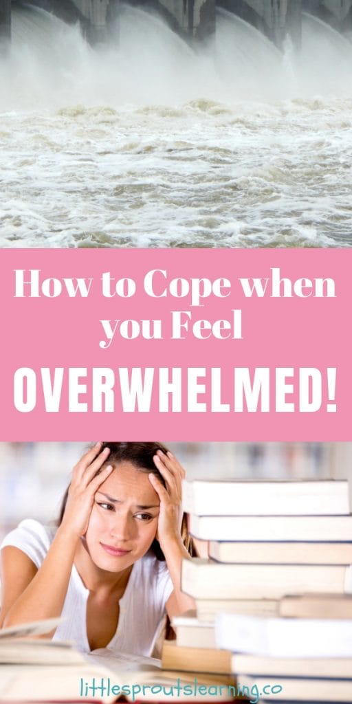 I hear childcare providers and women, in general, talking about being overwhelmed a lot. We all feel it at times. A few steps will help you manage when you feel overwhelmed.