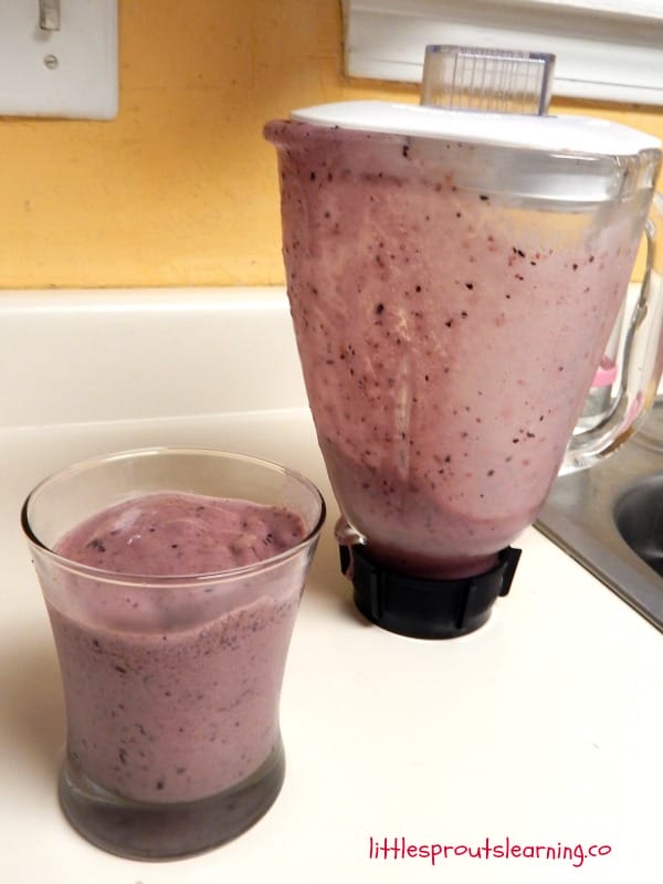 BLUEBERRY PEACH SMOOTHIES: Smoothies are delicious and fun to make. They are a great place to hide a few veggies as well if you have picky kids who may not get enough good nutrition in their diets. Most kids like fruit, so the smoothie is the perfect vehicle to add a punch of health to their diet in a tasty way.