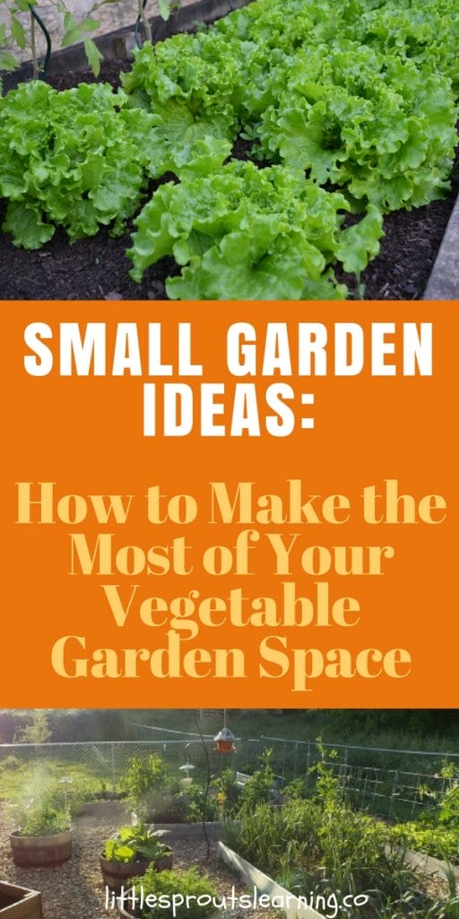 small garden space filled with raised beds full of beautiful plants