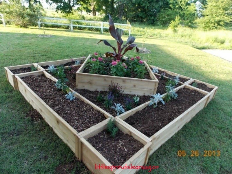Garden bed with plants, raised wooden bed