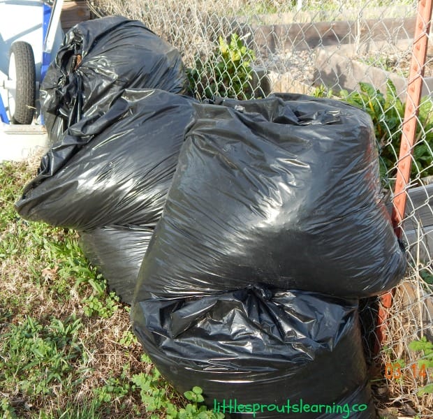 bags of fallen leaves by the vegetable garden