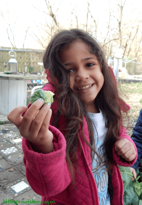 I'm super excited you are interested in making healthy choices with your kids. My healthy kids fun pack will help you along the way.