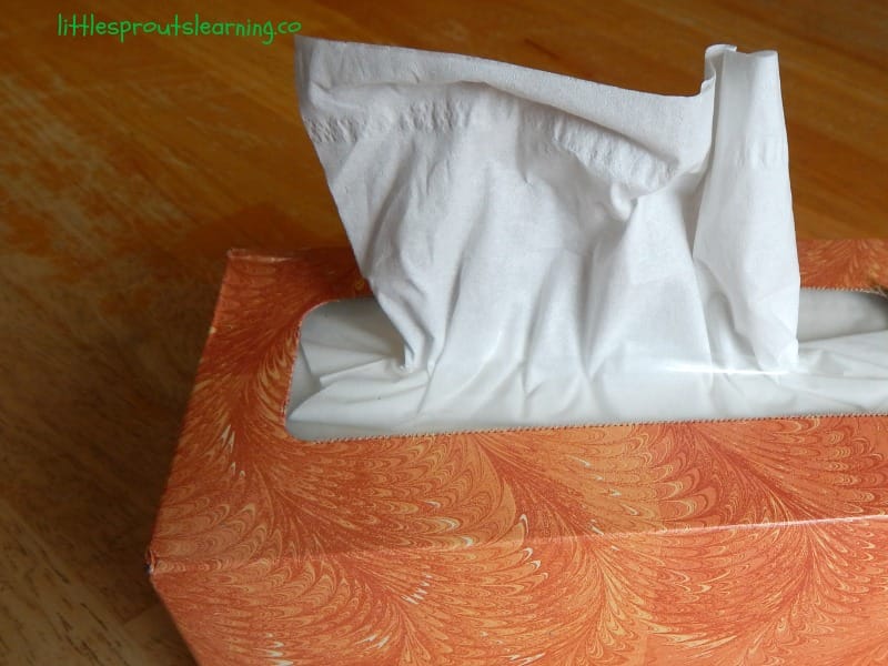 box of tissues for daycare