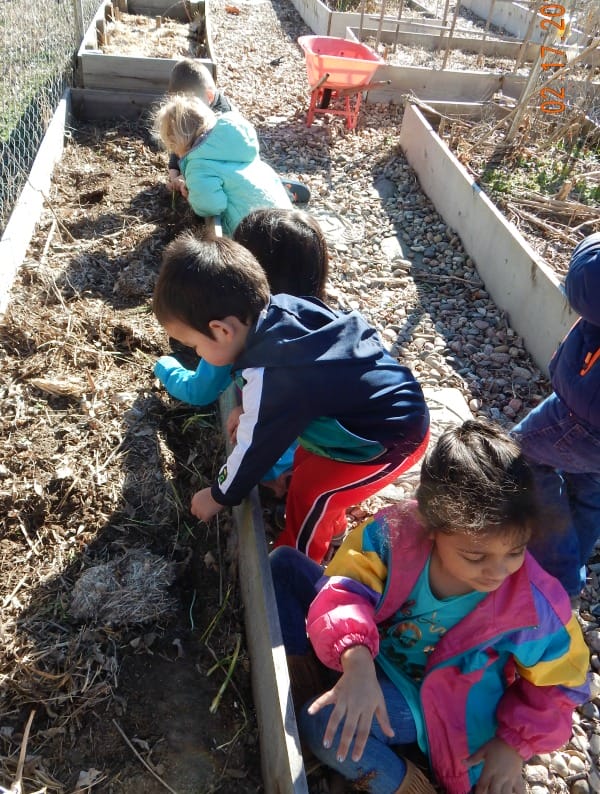 kids planting seeds in a garden, preschool garden lesson plans