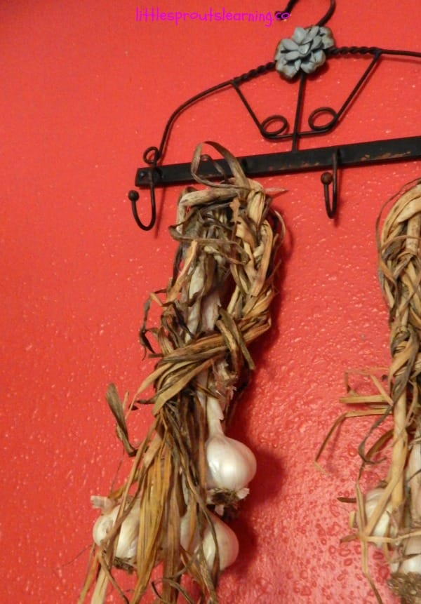 proper garlic storage