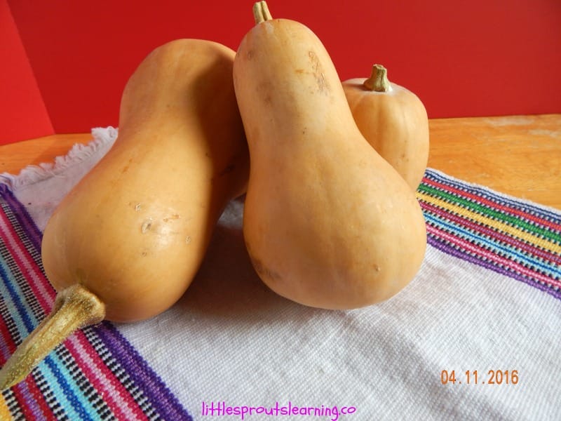 butternut squash on the table