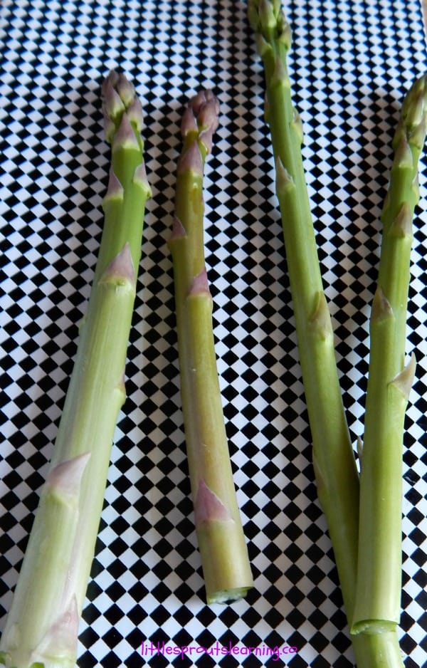asparagus on a plate