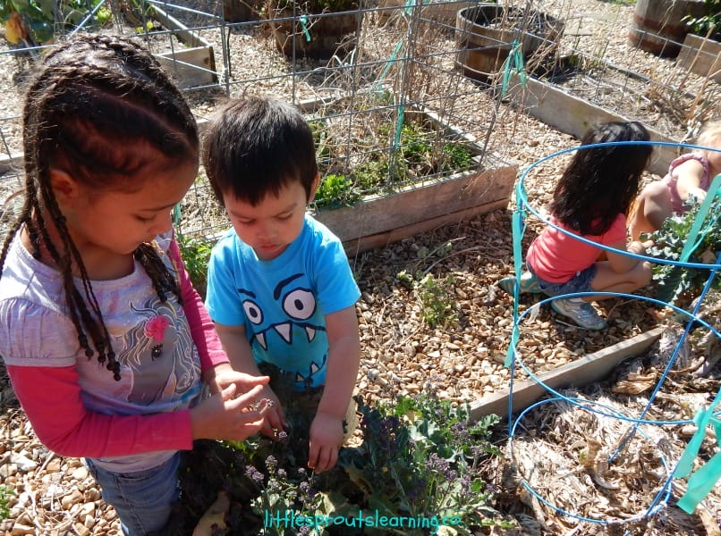 SUMMER ACTIVITIES FOR KIDS: There are so many things kids can do that don't cost a ton of money. I'm super cheap so I love good cheap summer activities. I love a bunch of happy, engaged children. Check out these summer activities for kids.