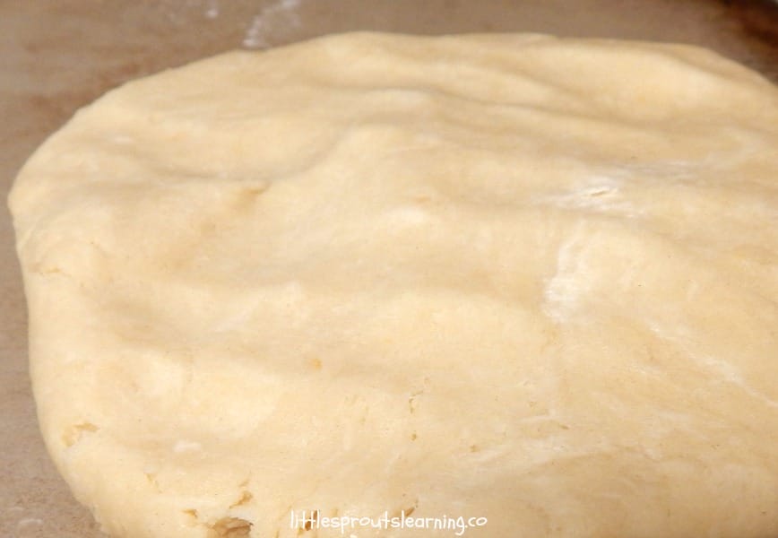 Emapanada dough made in ninja
