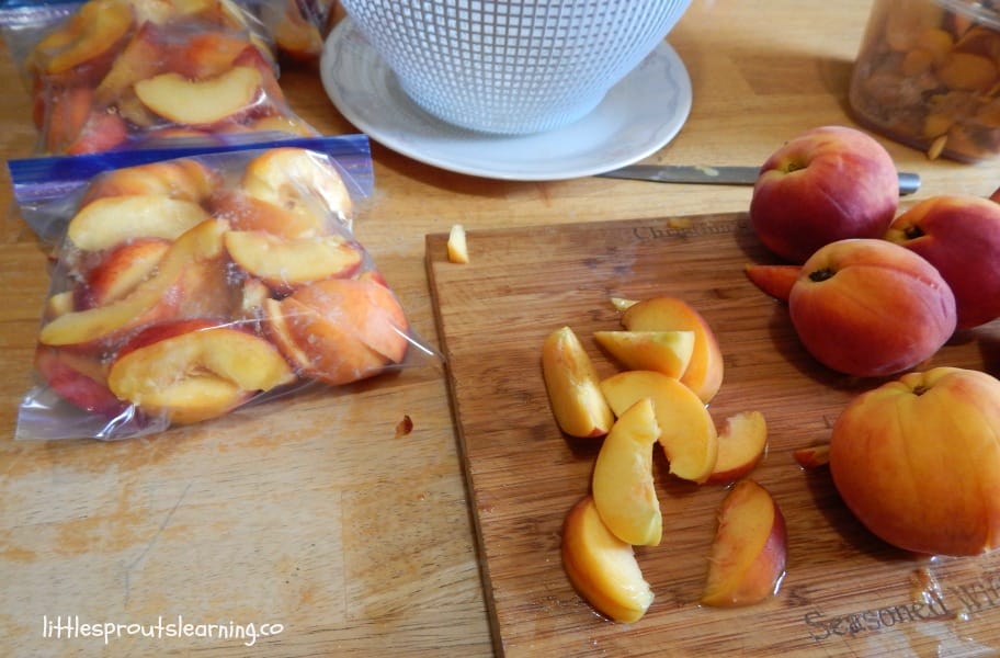 Peaches are one of my favorite foods. My kids LOVE foods we make with peaches too such as these peach yogurt pops we created for a healthy snack.