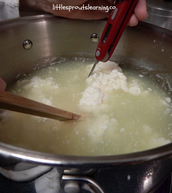 cooking mozzarella cheese, homemade Pan of curds with thermometer