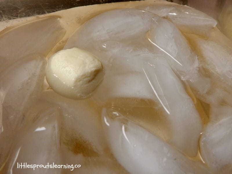 cooling homemade mozzarella cheese