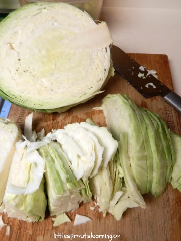 head of cabbage from the garden being sliced up for sauteed cabbage.