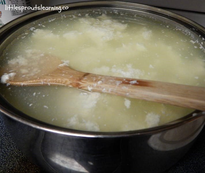 making homemade mozzarella cheese, milk with rennet separating