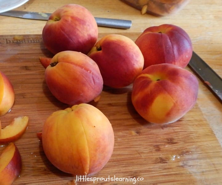 Fresh peaches are only available a few months a year. Stretch out that yummy season by storing peaches for later and avoid wasting any of the harvest too.