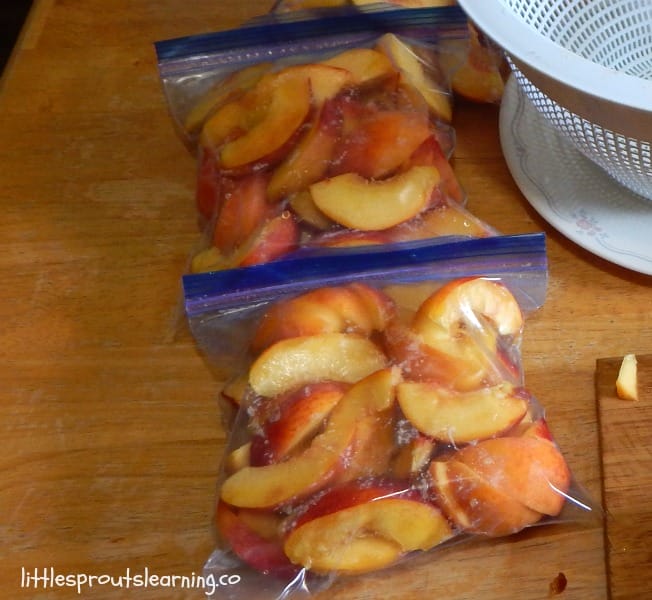 bags of peaches prepped for the freezer laying on the counter