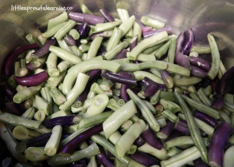 USING AND STORING FRESH GREEN BEANS: Fresh green beans come out of the garden in the summer at an alarming rate. They are delicious and we use them as fast as we can. Storing garden vegetables helps you enjoy them all year long. 