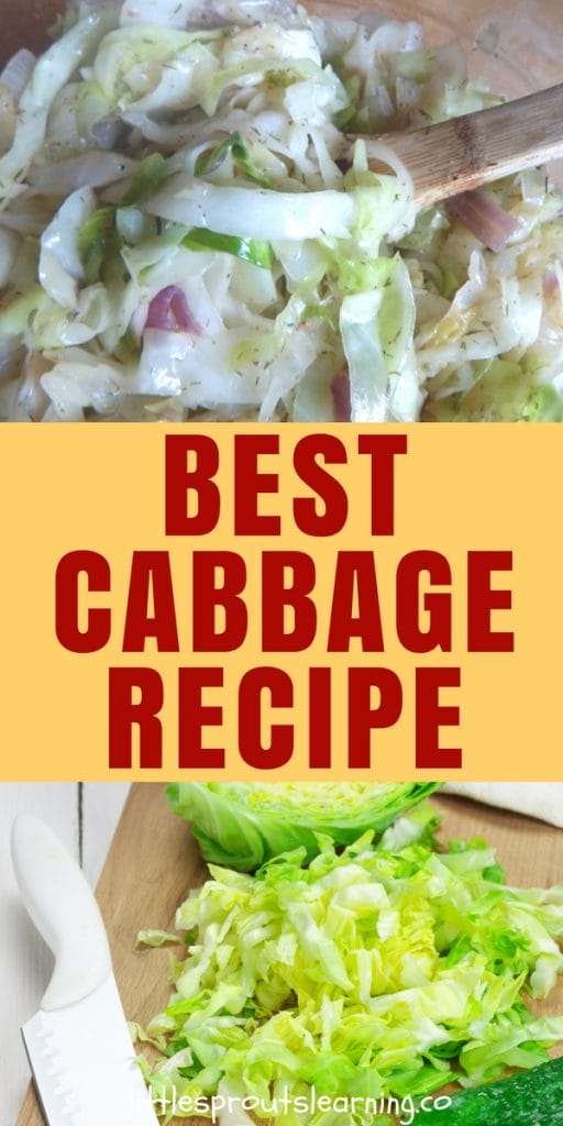 Best Cabbage Recipe