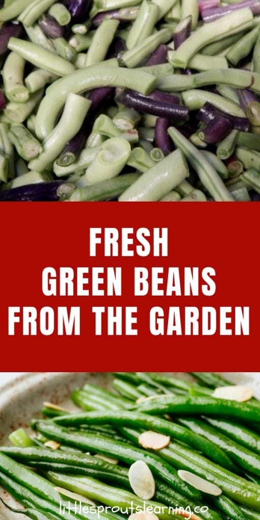 Fresh green beans and green beans almondine in a pan