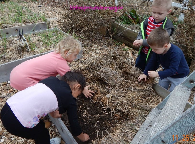 kids working a no-till garden bed