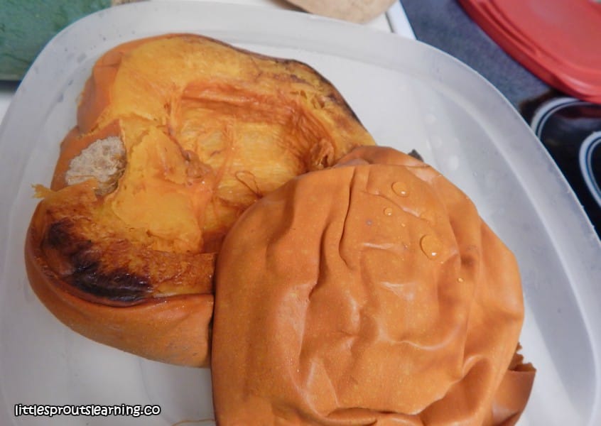 cooked pumpkin halves cooling