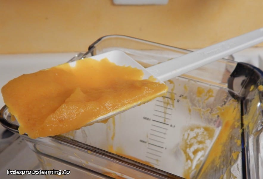 homemade-pumpkin-puree fresh from the blender on a spatula
