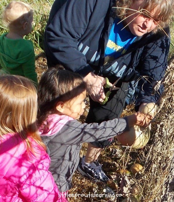 kids picking birdhouse gourds with daycare provider