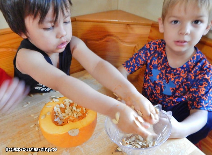 kids removing pumpkin goo from cut pumpkin