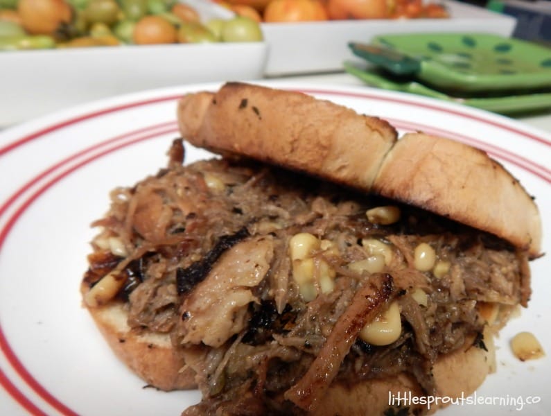 pulled pork sandwich on bread on a plate.